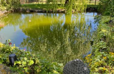 Domaine Saladry - Foto 67