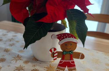 Domki na Stoku - Foto 34