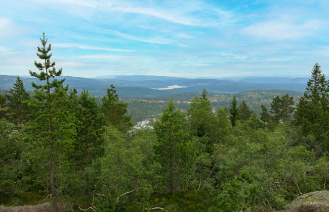 Fjellidyll - Foto 17