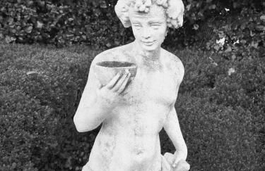 Le Jardin Villemaurine - Foto 15