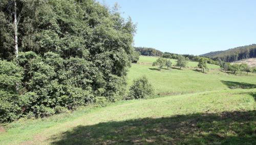 Charmantes Ferienhaus in Skigebietsnähe - Foto 5