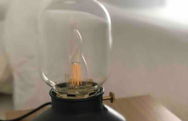 La Ninette du Domaine de Maubuisson - Photo 19