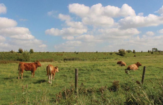 Villa by Lake Veere With Sauna and Terrace - Foto 34