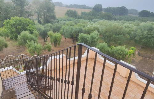 Giardino degli ulivi - Foto 36