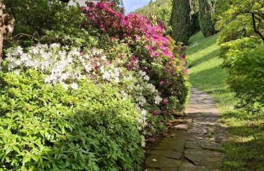 Rosen Garden Apartment - Foto 30