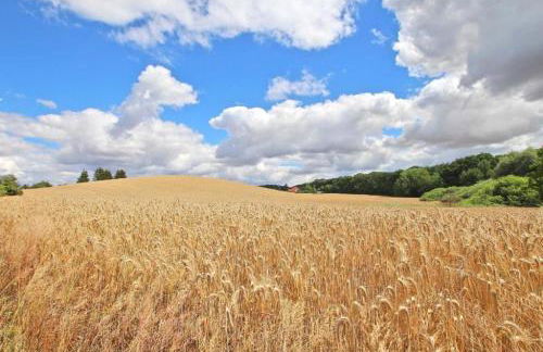 Alte Schmiede - Photo 28