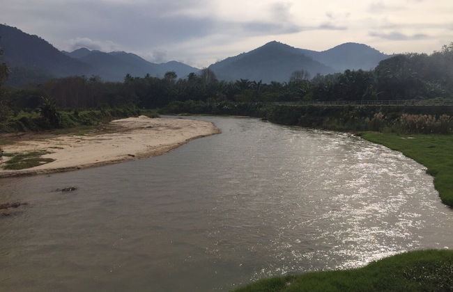 Baansuan Suksangob Farm Stay - Photo 53