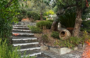 Olive Grove House - Foto 33