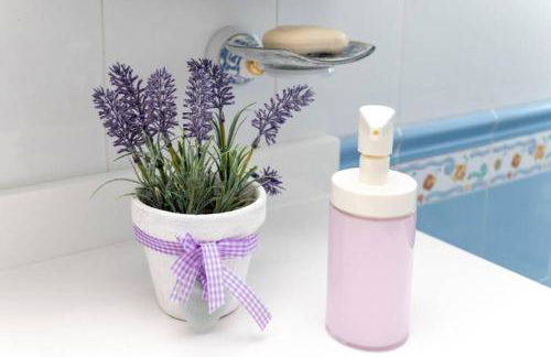 La Casa de Silvia Visita Parque Warner, Madrid y alrededores - Foto 22