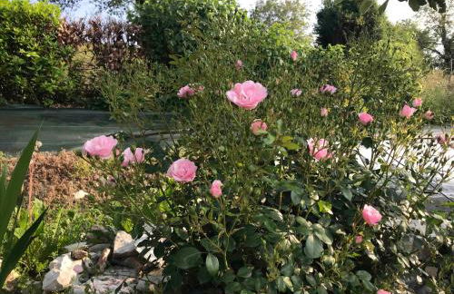 Casadelsale - Foto 21