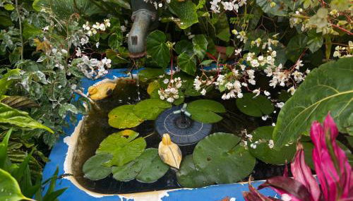 Terra Chã Cottage,FEEL Home, - Foto 4