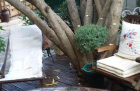 Cielito Lindo - Foto 34