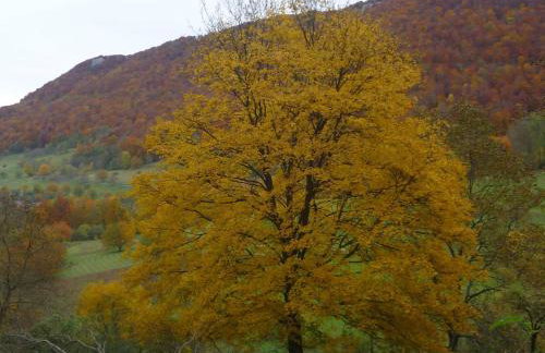 Ferienwohnungen Hubertus - Foto 15