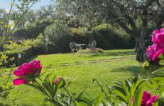 Agriturismo CarpinoNero - Photo 22