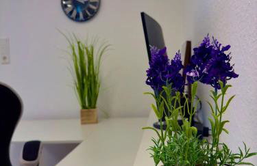 FEWOHOME Lothe Schieder Schwalenberg Schiedersee - Foto 65