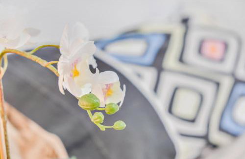 Santa Cruz centro wifi tranvía 10 - Foto 13