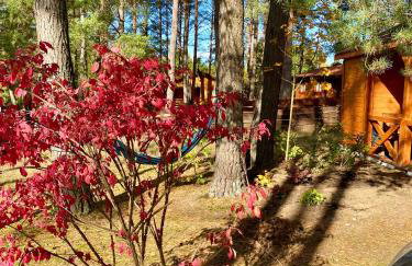 Domek nad jeziorem Guzowy Piec - Foto 11