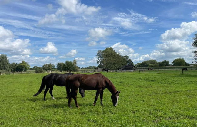 Getaway With Covered Veranda - Photo 35