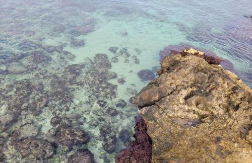 Cala Paradiso - Foto 72