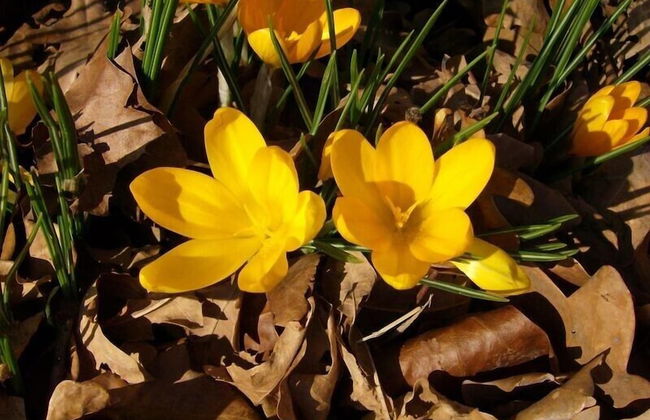 Agriturismo Al Vecchio Portico - Photo 57