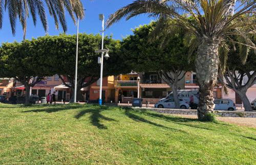 Aunt Antonia Beach House - Photo 49