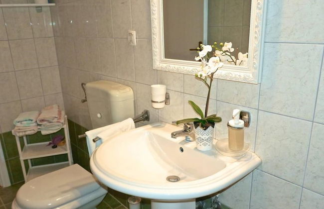 Dino - Gorgeous Garden - SA1 Zavala - Photo 15