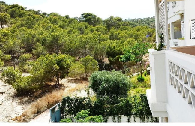 Ballesol Costablanca Senior Resort mayores de 55 - Photo 37