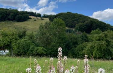Ferienwohnung Schmidt - Foto 28