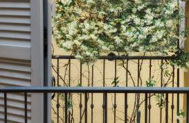 Dimora Farini - Foto 19