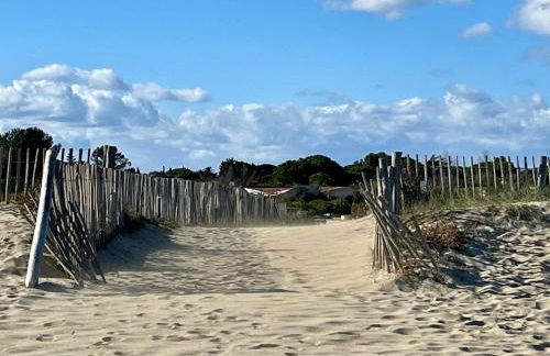 Villa front de mer, plage nature - Foto 1