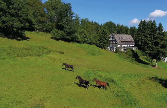 Large House in Winterberg in the Sauerland Region - Foto 78