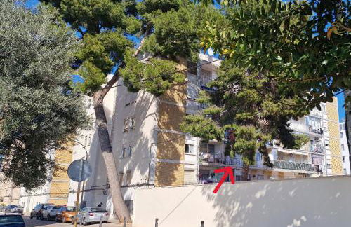 Gandia Grau 5 - Photo 19