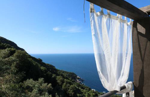 Fakistra's Blue House - Foto 21