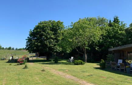 Ferienwohnung Schmidt - Foto 40