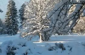 Chalet Königsstand - Foto 2