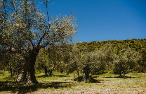 I Casali Di Colle San Paolo - Foto 52