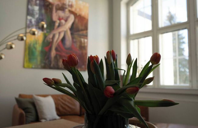 Historical 1BR Penthouse with Sauna - Photo 18