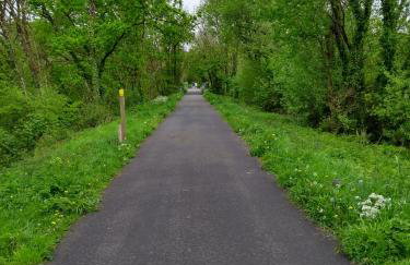 Hazel Cottage, Frithelstock - Foto 35