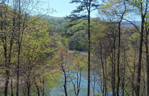 Cozy Lake Duplex Sleeps 5 Games Dog-friendly - Foto 26