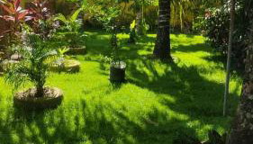 Casa amarela - Photo 3