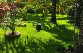Casa amarela - Foto 3