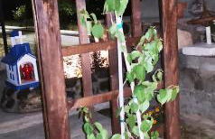 Marika Apartments - Foto 17