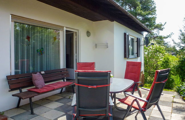 Zum munteren Eichhörnchen - Foto 13