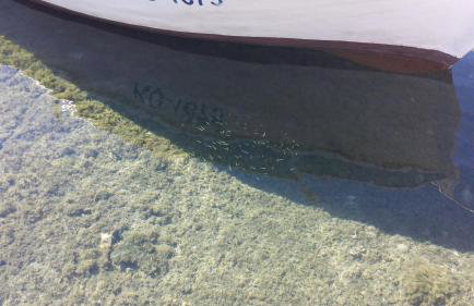 Rezidence Castello - Photo 80