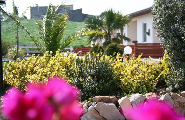 Oca Giuliva - Foto 28