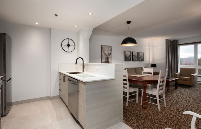 Sommet des Neiges - Foto 10