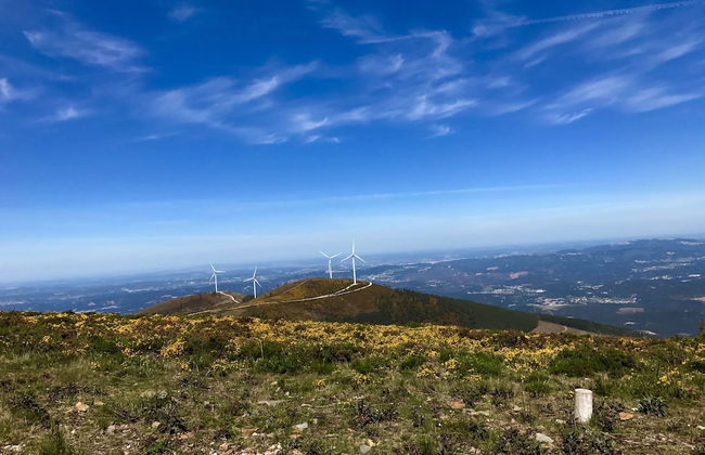 Portantiqua Guest House - Foto 20