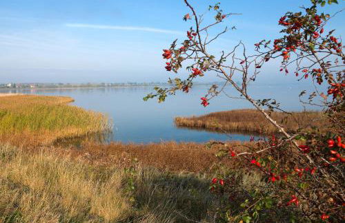 Gollwitzer Park Sturmvogel - Foto 17