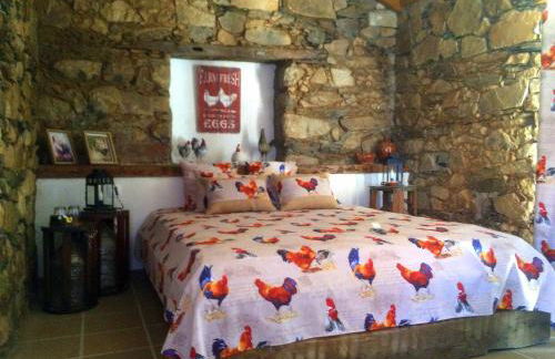 Couto dos Pardinhos - Foto 26