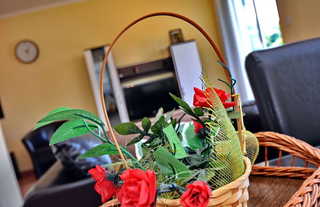 Apartments Soso - Foto 54